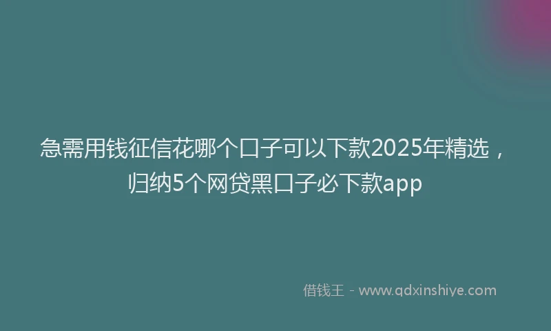 急需用钱征信花哪个口子可以下款2025年精选，归纳5个网贷黑口子必下款app