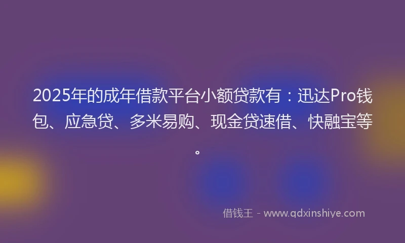 2025年的成年借款平台小额贷款有：迅达Pro钱包、应急贷、多米易购、现金贷速借、快融宝等。