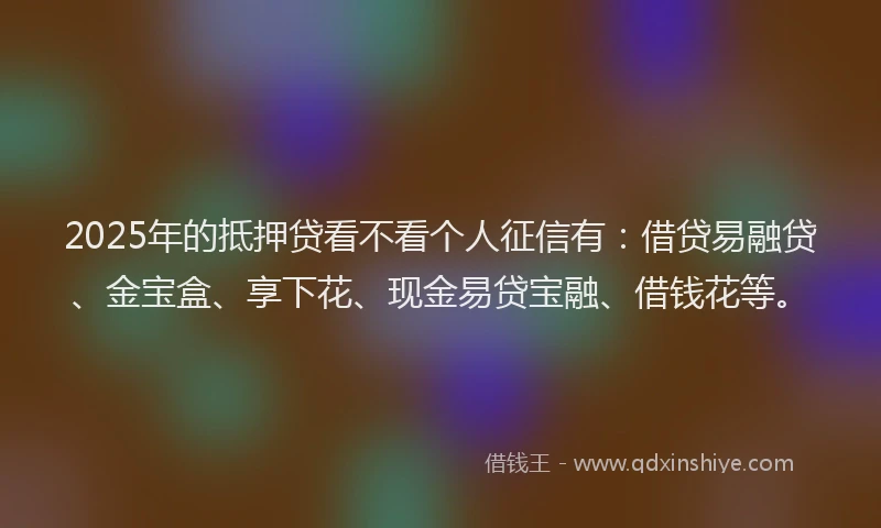 2025年的抵押贷看不看个人征信有：借贷易融贷、金宝盒、享下花、现金易贷宝融、借钱花等。