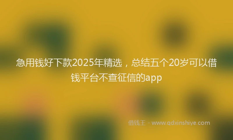 急用钱好下款2025年精选，总结五个20岁可以借钱平台不查征信的app
