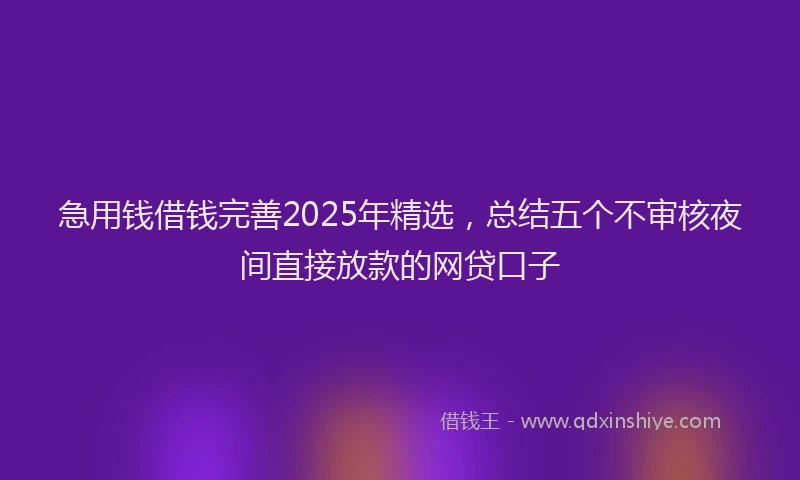 急用钱借钱完善2025年精选，总结五个不审核夜间直接放款的网贷口子