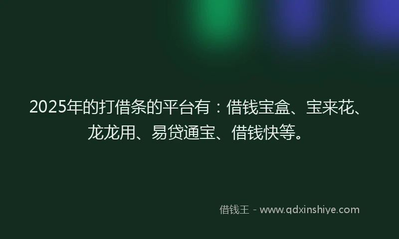 2025年的打借条的平台有：借钱宝盒、宝来花、龙龙用、易贷通宝、借钱快等。