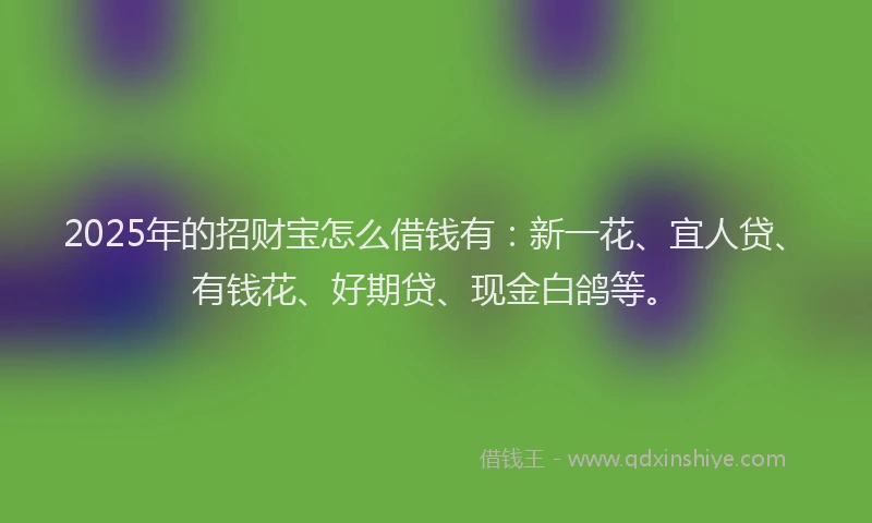 2025年的招财宝怎么借钱有：新一花、宜人贷、有钱花、好期贷、现金白鸽等。
