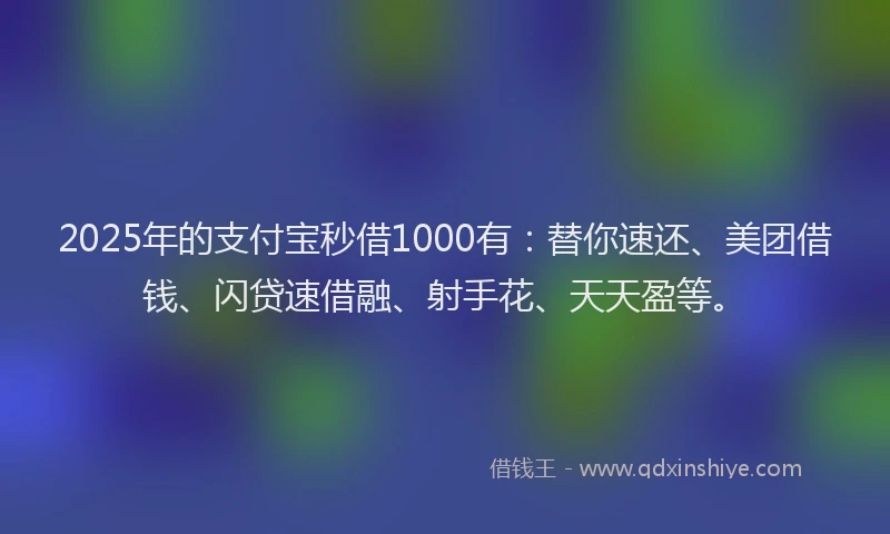 2025年的支付宝秒借1000有：替你速还、美团借钱、闪贷速借融、射手花、天天盈等。