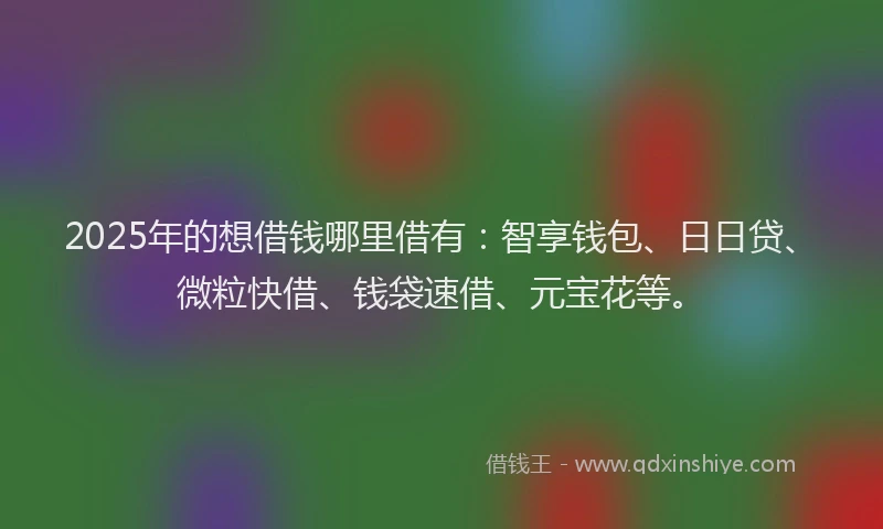 2025年的想借钱哪里借有：智享钱包、日日贷、微粒快借、钱袋速借、元宝花等。