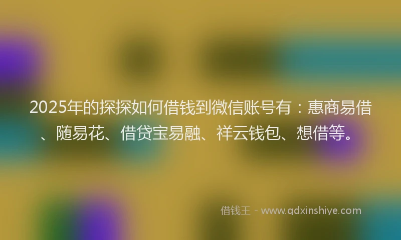 2025年的探探如何借钱到微信账号有：惠商易借、随易花、借贷宝易融、祥云钱包、想借等。