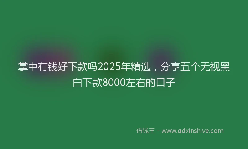 掌中有钱好下款吗2025年精选，分享五个无视黑白下款8000左右的口子