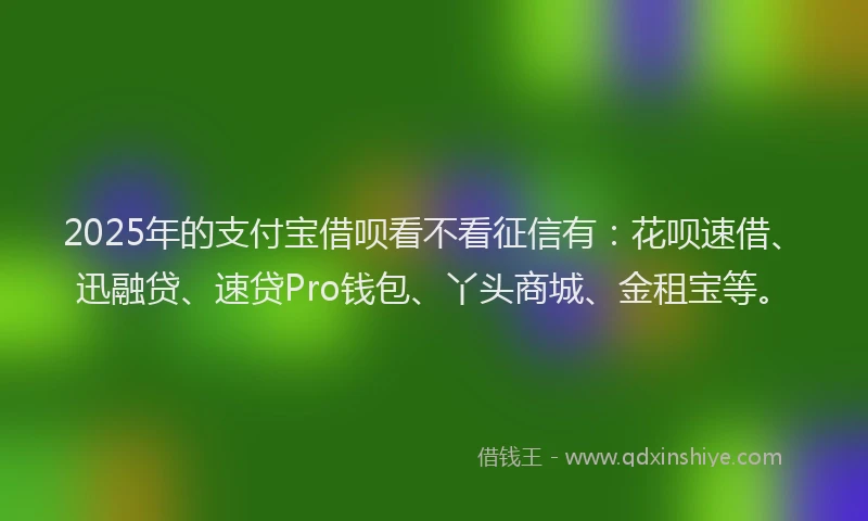 2025年的支付宝借呗看不看征信有：花呗速借、迅融贷、速贷Pro钱包、丫头商城、金租宝等。