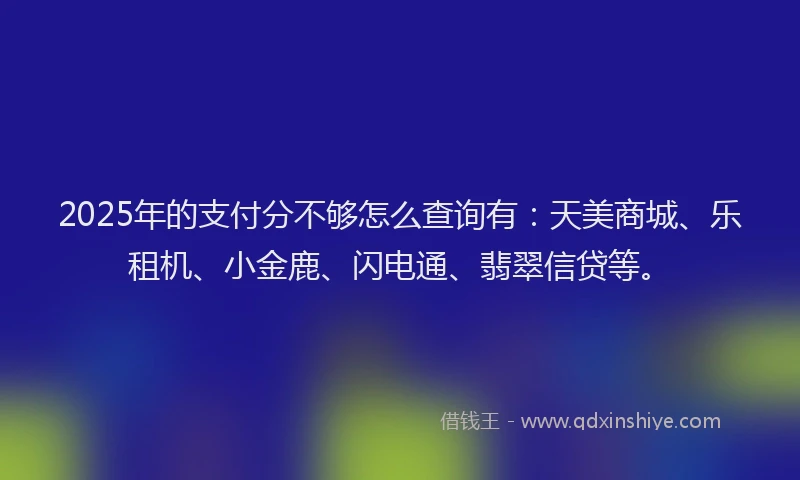 2025年的支付分不够怎么查询有：天美商城、乐租机、小金鹿、闪电通、翡翠信贷等。