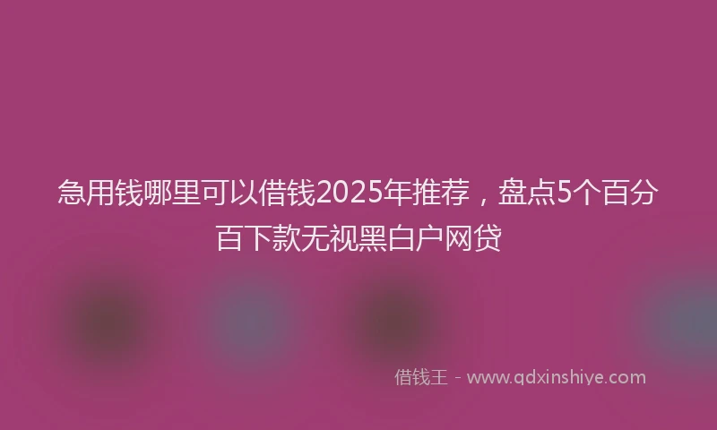 急用钱哪里可以借钱2025年推荐，盘点5个百分百下款无视黑白户网贷