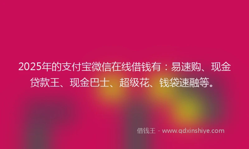 2025年的支付宝微信在线借钱有：易速购、现金贷款王、现金巴士、超级花、钱袋速融等。