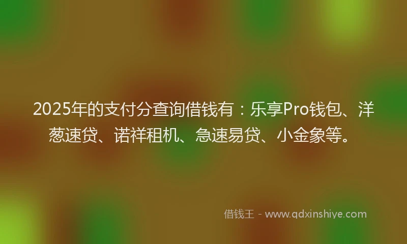 2025年的支付分查询借钱有：乐享Pro钱包、洋葱速贷、诺祥租机、急速易贷、小金象等。