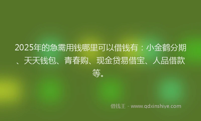 2025年的急需用钱哪里可以借钱有：小金鹤分期、天天钱包、青春购、现金贷易借宝、人品借款等。