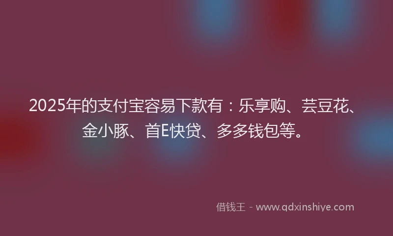 2025年的支付宝容易下款有：乐享购、芸豆花、金小豚、首E快贷、多多钱包等。