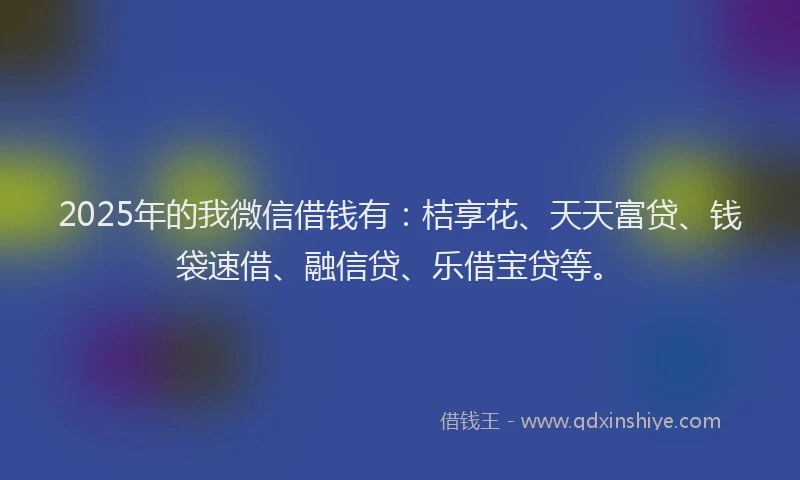 2025年的我微信借钱有：桔享花、天天富贷、钱袋速借、融信贷、乐借宝贷等。