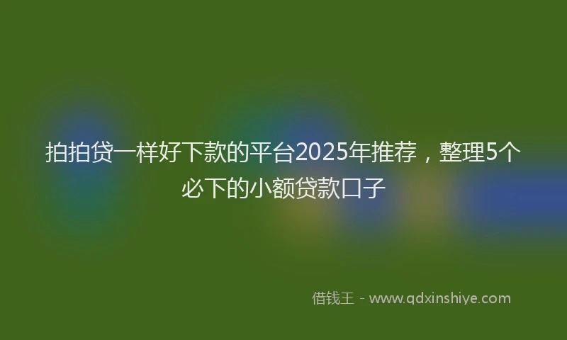 拍拍贷一样好下款的平台2025年推荐，整理5个必下的小额贷款口子