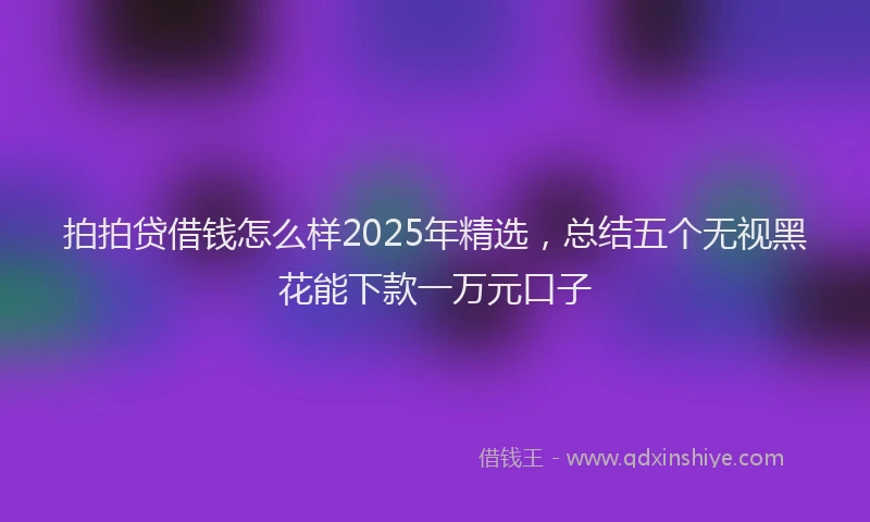 拍拍贷借钱怎么样2025年精选，总结五个无视黑花能下款一万元口子