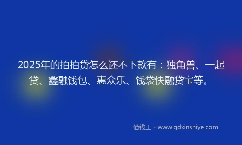 2025年的拍拍贷怎么还不下款有：独角兽、一起贷、鑫融钱包、惠众乐、钱袋快融贷宝等。