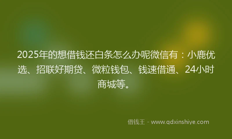 2025年的想借钱还白条怎么办呢微信有：小鹿优选、招联好期贷、微粒钱包、钱速借通、24小时商城等。