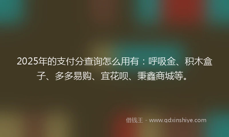 2025年的支付分查询怎么用有：呼吸金、积木盒子、多多易购、宜花呗、秉鑫商城等。