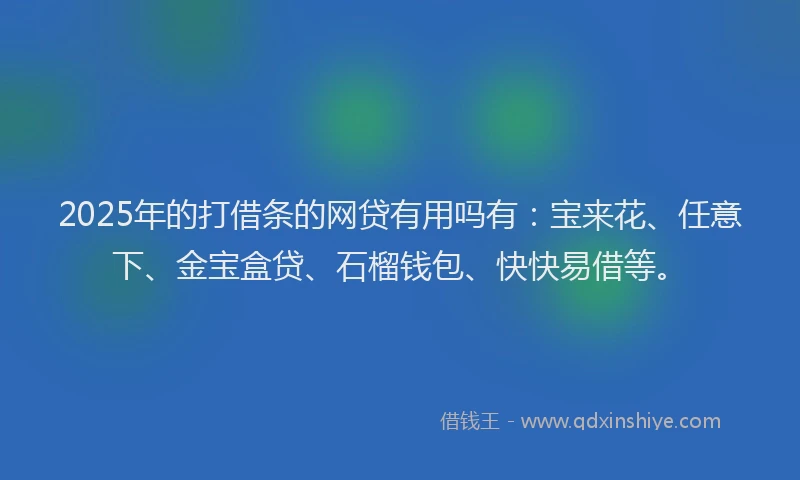 2025年的打借条的网贷有用吗有：宝来花、任意下、金宝盒贷、石榴钱包、快快易借等。