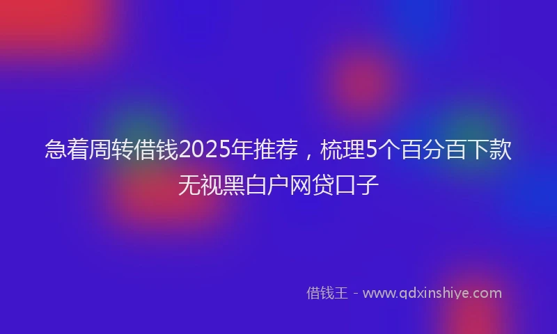 急着周转借钱2025年推荐，梳理5个百分百下款无视黑白户网贷口子