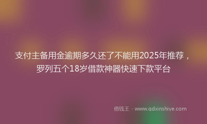 支付主备用金逾期多久还了不能用2025年推荐，罗列五个18岁借款神器快速下款平台