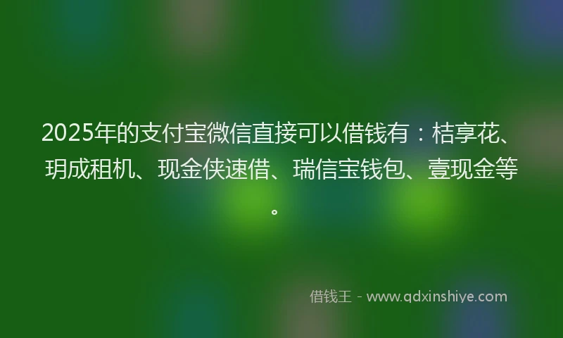2025年的支付宝微信直接可以借钱有：桔享花、玥成租机、现金侠速借、瑞信宝钱包、壹现金等。