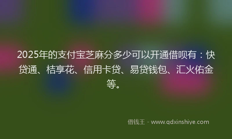 2025年的支付宝芝麻分多少可以开通借呗有：快贷通、桔享花、信用卡贷、易贷钱包、汇火佑金等。