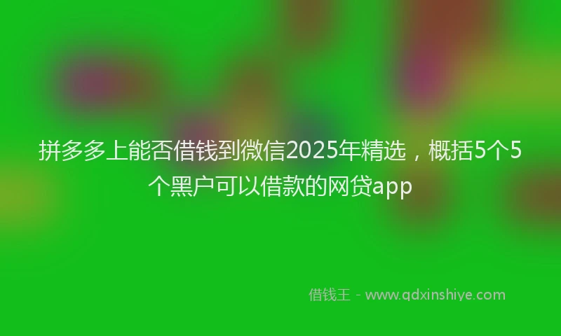 拼多多上能否借钱到微信2025年精选，概括5个5个黑户可以借款的网贷app