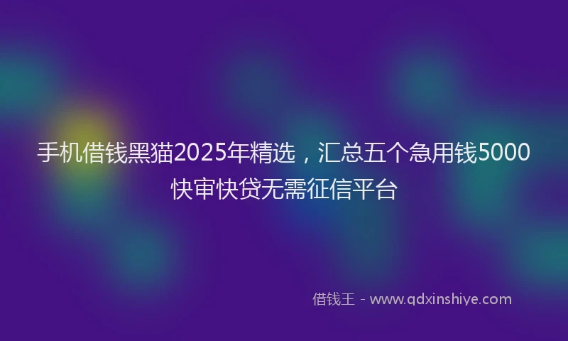 手机借钱黑猫2025年精选，汇总五个急用钱5000快审快贷无需征信平台