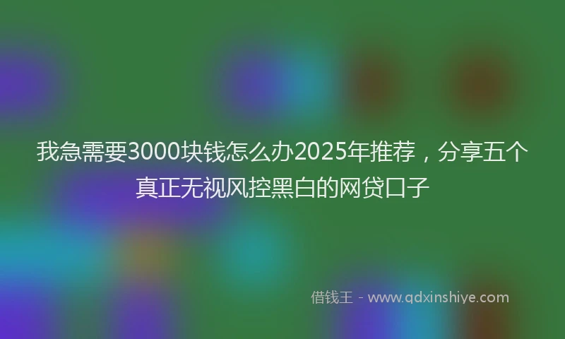 我急需要3000块钱怎么办2025年推荐，分享五个真正无视风控黑白的网贷口子