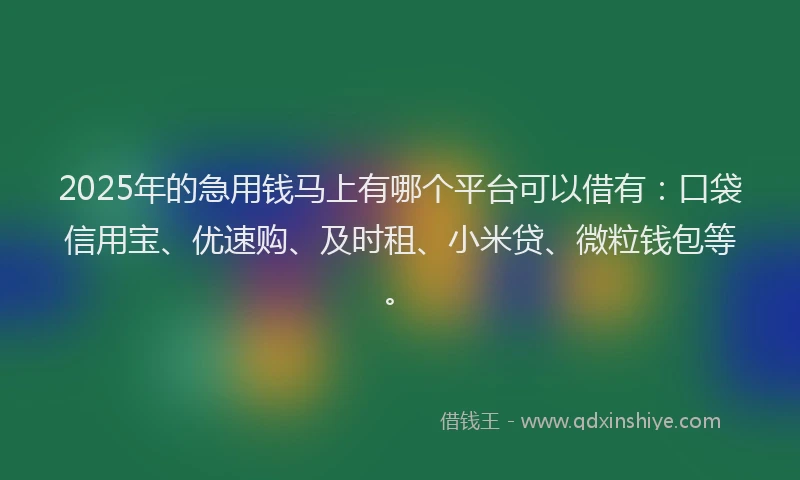 2025年的急用钱马上有哪个平台可以借有：口袋信用宝、优速购、及时租、小米贷、微粒钱包等。