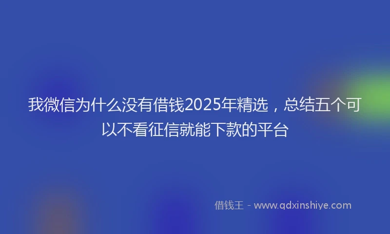 我微信为什么没有借钱2025年精选，总结五个可以不看征信就能下款的平台