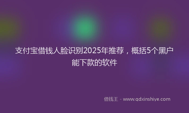 支付宝借钱人脸识别2025年推荐，概括5个黑户能下款的软件