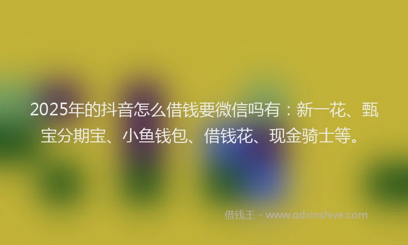 2025年的抖音怎么借钱要微信吗有：新一花、甄宝分期宝、小鱼钱包、借钱花、现金骑士等。