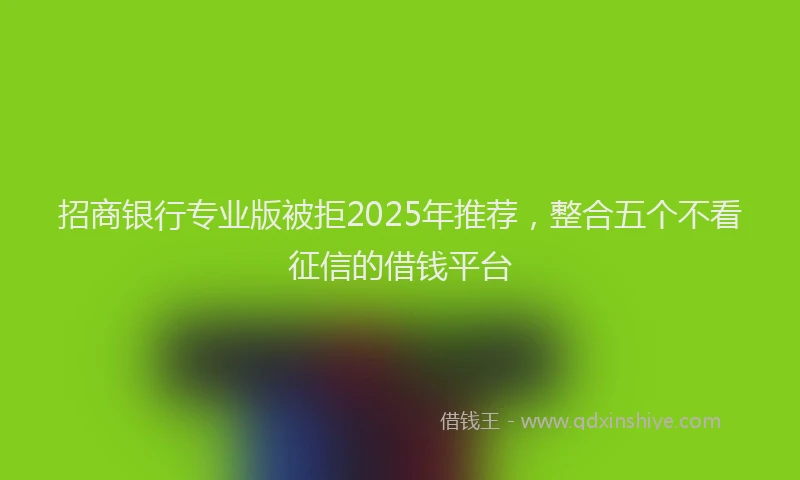 招商银行专业版被拒2025年推荐，整合五个不看征信的借钱平台