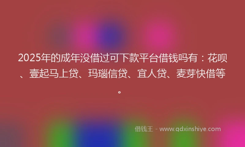 2025年的成年没借过可下款平台借钱吗有：花呗、壹起马上贷、玛瑙信贷、宜人贷、麦芽快借等。