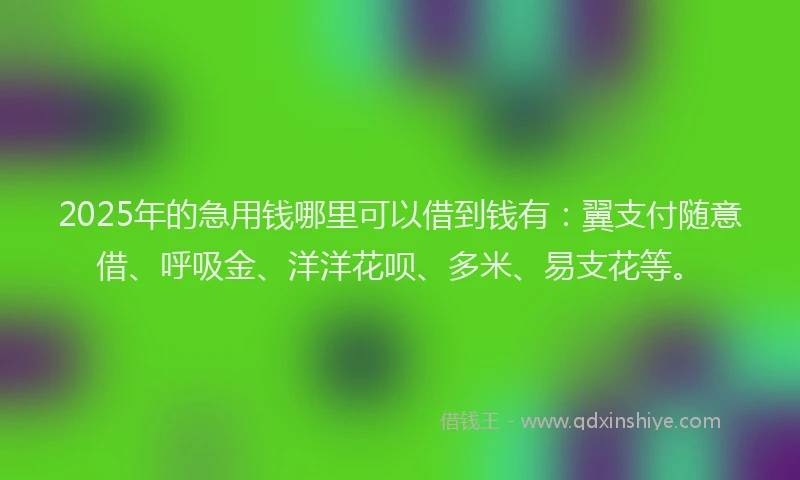 2025年的急用钱哪里可以借到钱有：翼支付随意借、呼吸金、洋洋花呗、多米、易支花等。