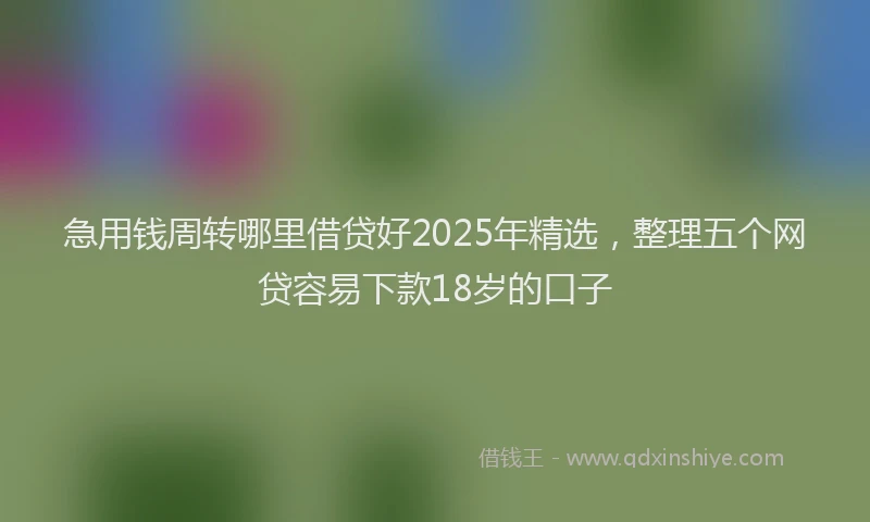 急用钱周转哪里借贷好2025年精选，整理五个网贷容易下款18岁的口子