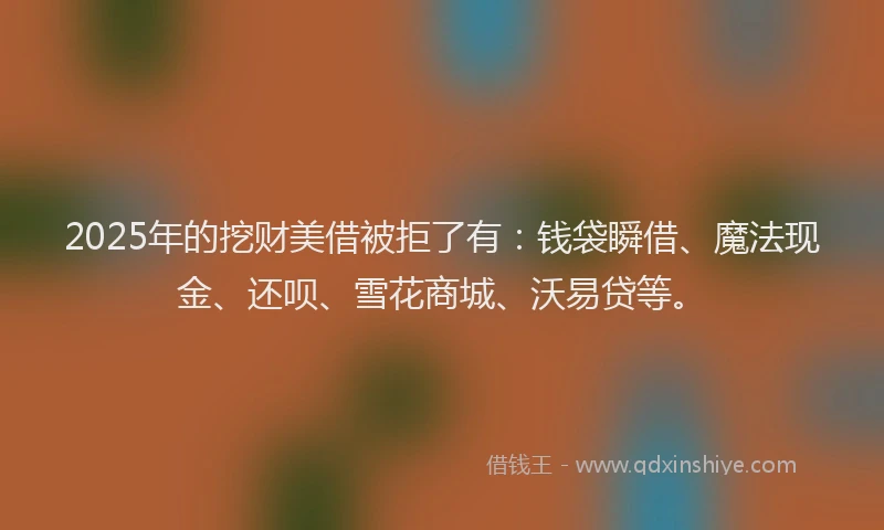 2025年的挖财美借被拒了有：钱袋瞬借、魔法现金、还呗、雪花商城、沃易贷等。