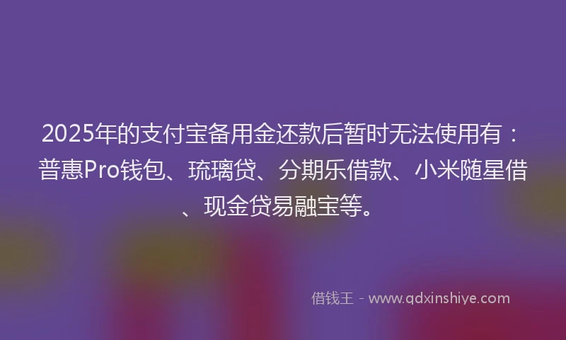 2025年的支付宝备用金还款后暂时无法使用有：普惠Pro钱包、琉璃贷、分期乐借款、小米随星借、现金贷易融宝等。