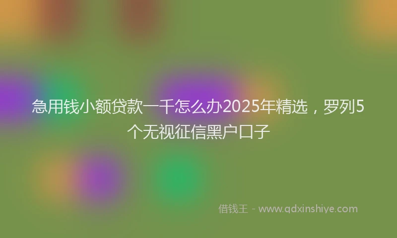 急用钱小额贷款一千怎么办2025年精选，罗列5个无视征信黑户口子