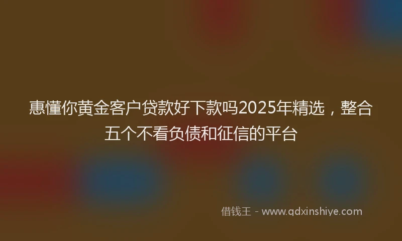 惠懂你黄金客户贷款好下款吗2025年精选，整合五个不看负债和征信的平台