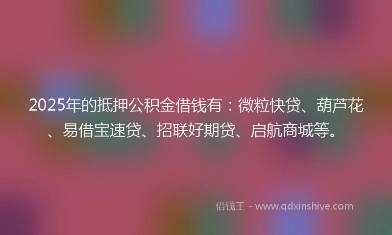 2025年的抵押公积金借钱有：微粒快贷、葫芦花、易借宝速贷、招联好期贷、启航商城等。