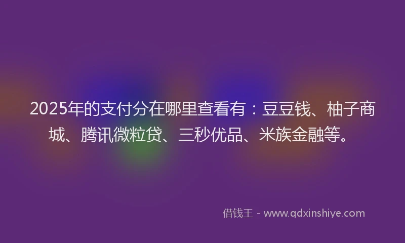 2025年的支付分在哪里查看有：豆豆钱、柚子商城、腾讯微粒贷、三秒优品、米族金融等。