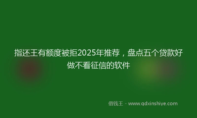 指还王有额度被拒2025年推荐，盘点五个贷款好做不看征信的软件