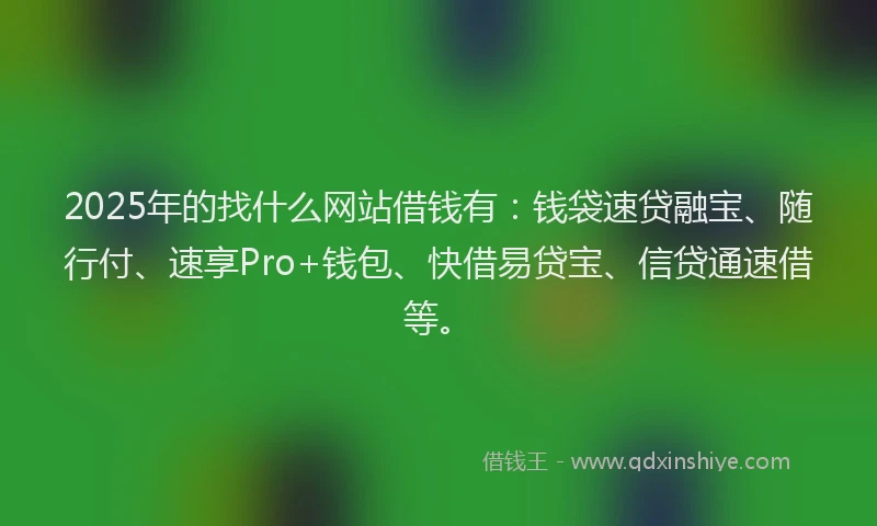 2025年的找什么网站借钱有：钱袋速贷融宝、随行付、速享Pro+钱包、快借易贷宝、信贷通速借等。