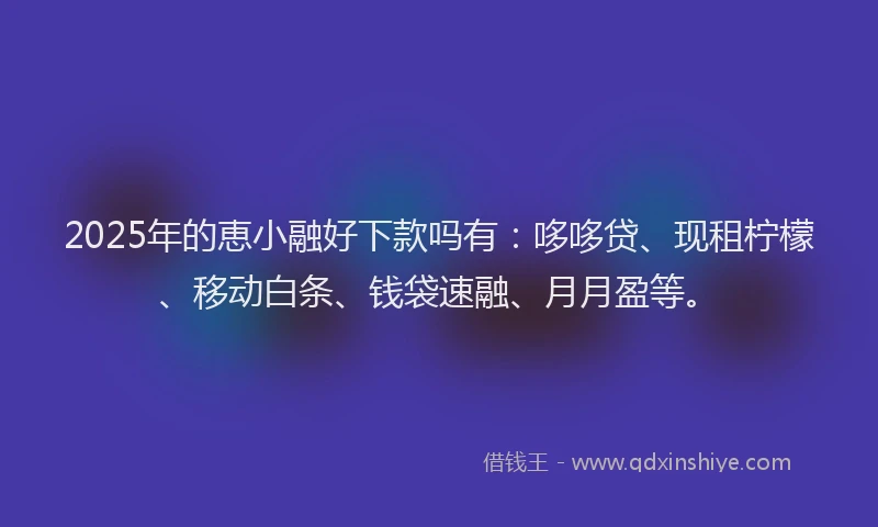2025年的恵小融好下款吗有：哆哆贷、现租柠檬、移动白条、钱袋速融、月月盈等。