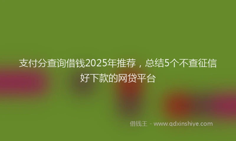 支付分查询借钱2025年推荐，总结5个不查征信好下款的网贷平台